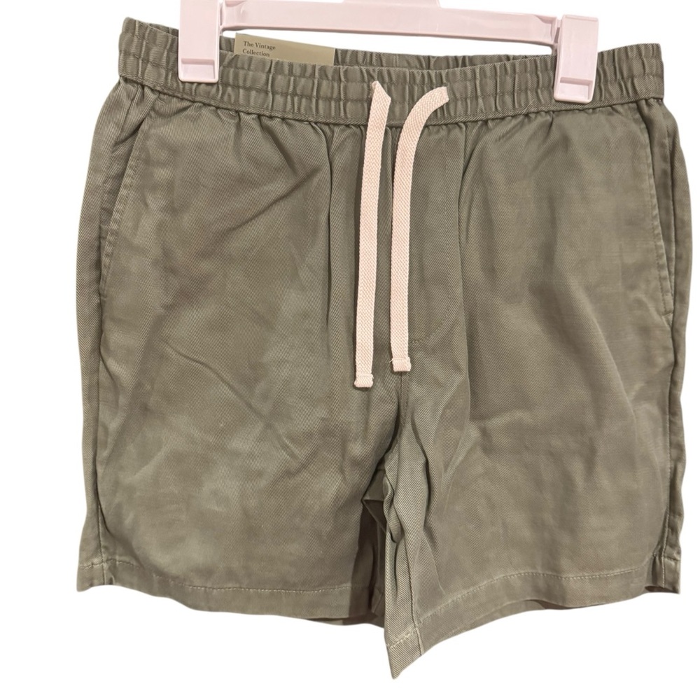 Goodfellows Men's The Vintage Pull On Green Flat Front Shorts
